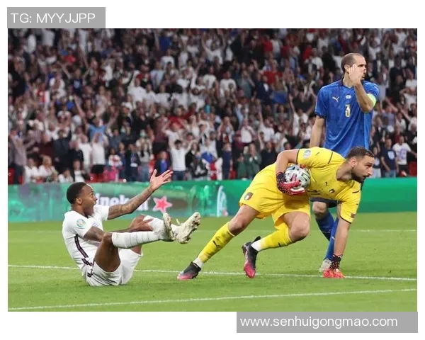 狮子座球星在足球界的闪耀光芒与成功之路